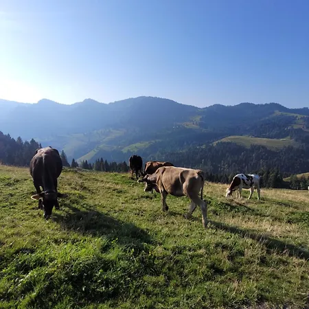 Allgaeublick Apartman